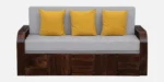 Avira Solid Wood Sofa Cum Bed with Soft Cushioned Seating and Backrest - Image 11