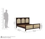 Import placeholder for 4477 - Image 3