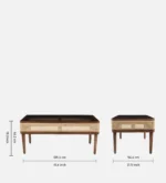 Evania Solid Sheesham Wood Classic Wooden Coffee Table with Refined Finish - Image 3