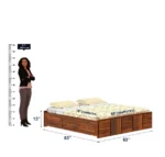 Import placeholder for 4658 - Image 2