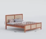 Import placeholder for 1178 - Image 2