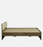 Import placeholder for 4569 - Image 6