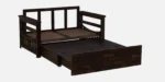 Rayan Sheesham Wood Sofa Cum Bed with Cushioned Mattress - Image 4