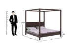 Import placeholder for 4534 - Image 7